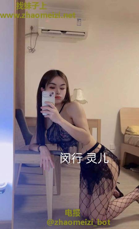 闵行小灵猫妹妹