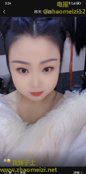 西青东北猫咪