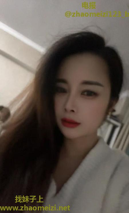 包河小猫咪