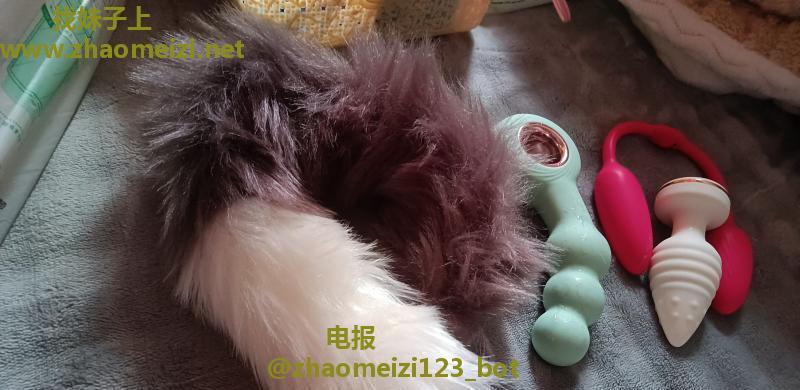 沈阳蝴蝶B
