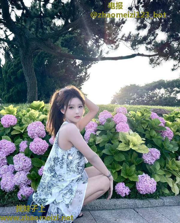 张家大小姐