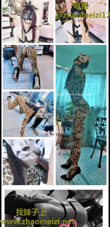 重庆猫老师