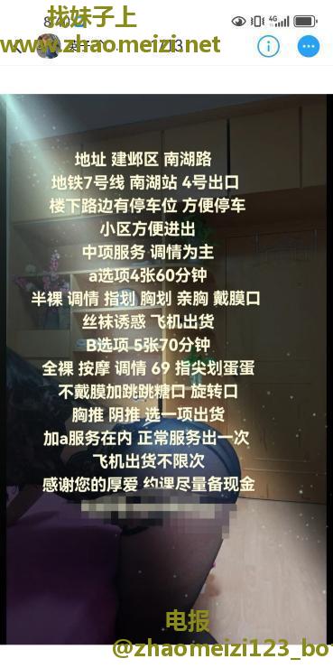 南湖中项英子