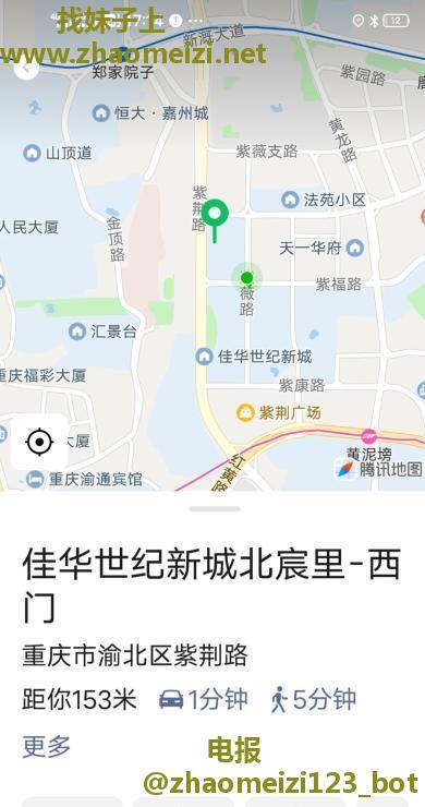 紫薇路熟女风信子