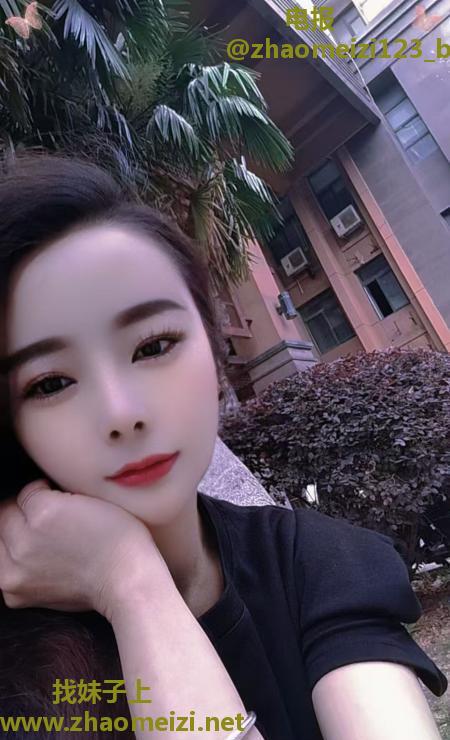包河小夜猫