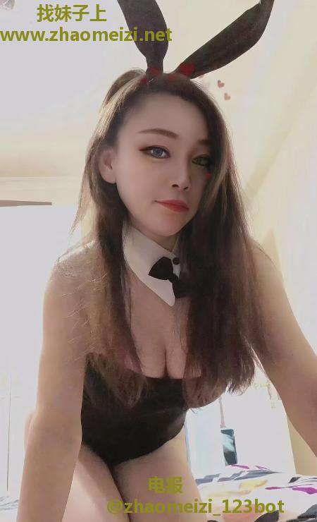 宝安大白奶小肥猫