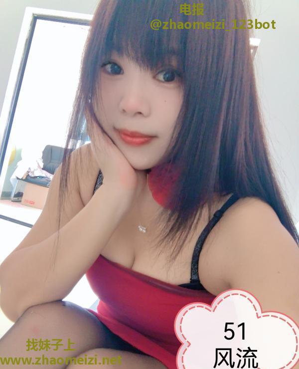 树木岭小狐狸