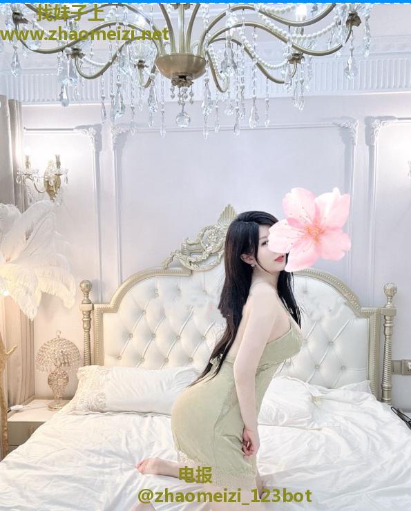 李沧区小美狐