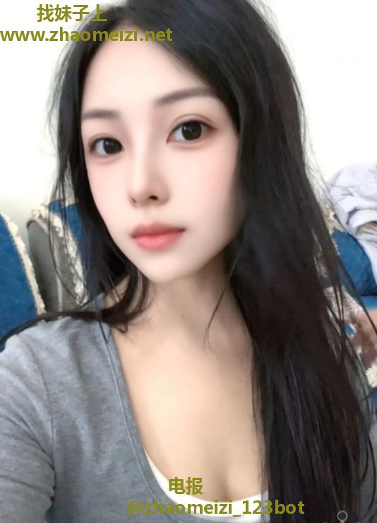 混血新疆小猫咪