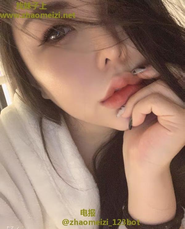 栖霞小野猫andy