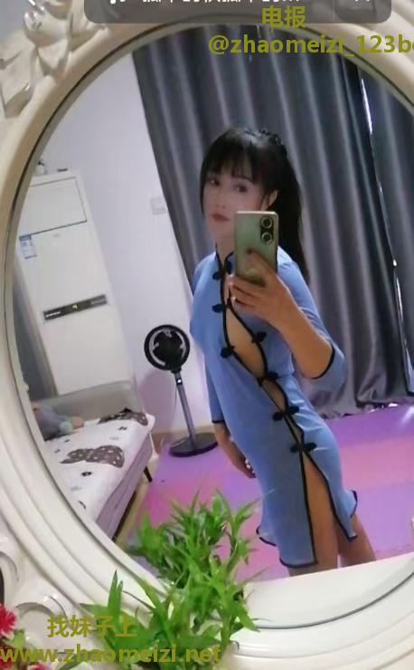 芙蓉小野猫