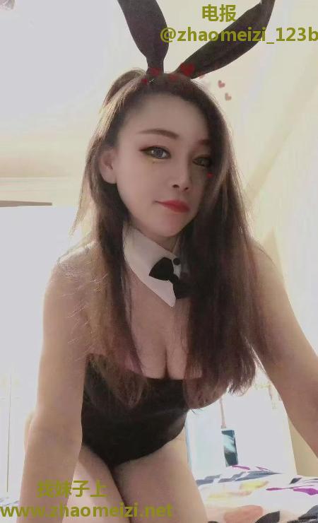 宝安大波小肥猫