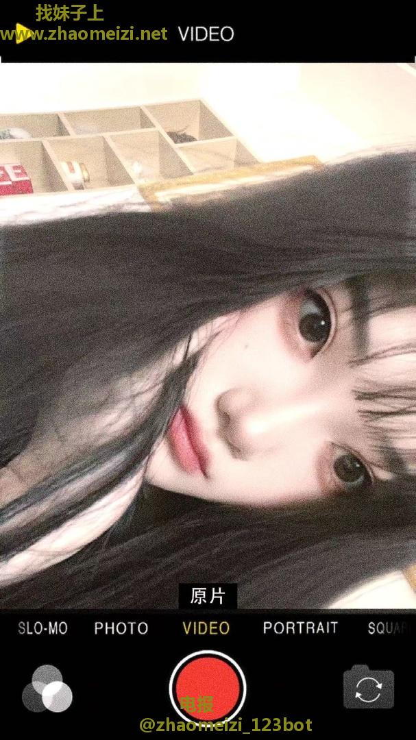 兰州七里河骚兜野猫