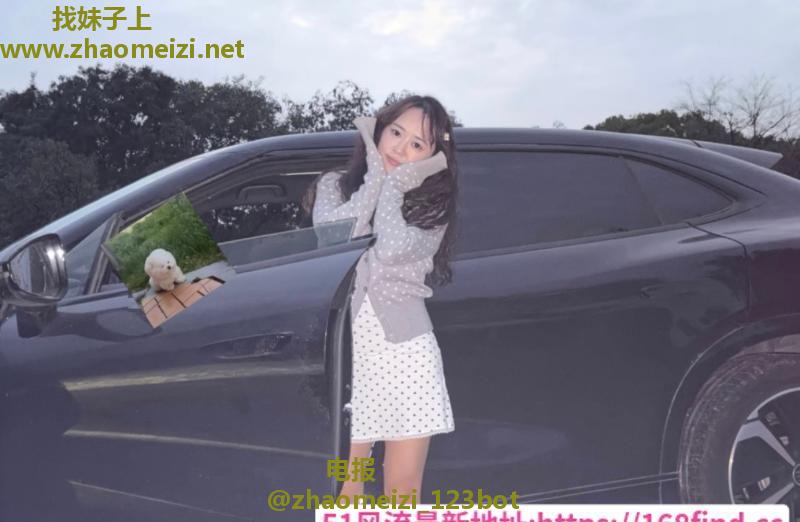 夫子庙巨乳