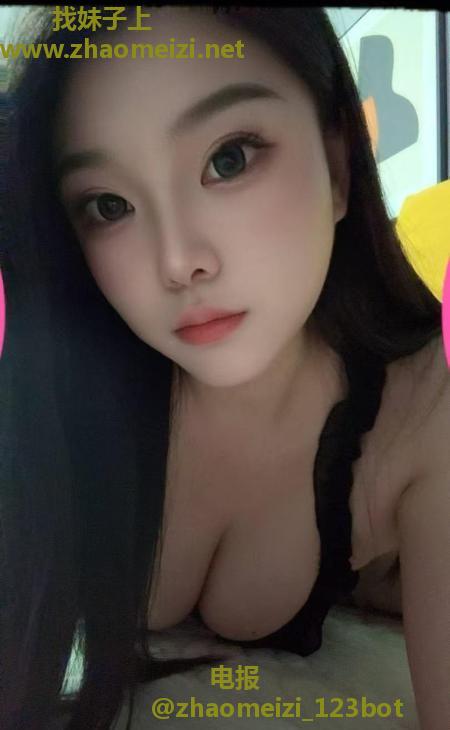 二刷雁塔名师金宝宝