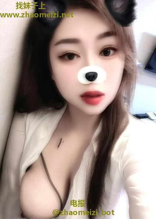 澳门狸狸