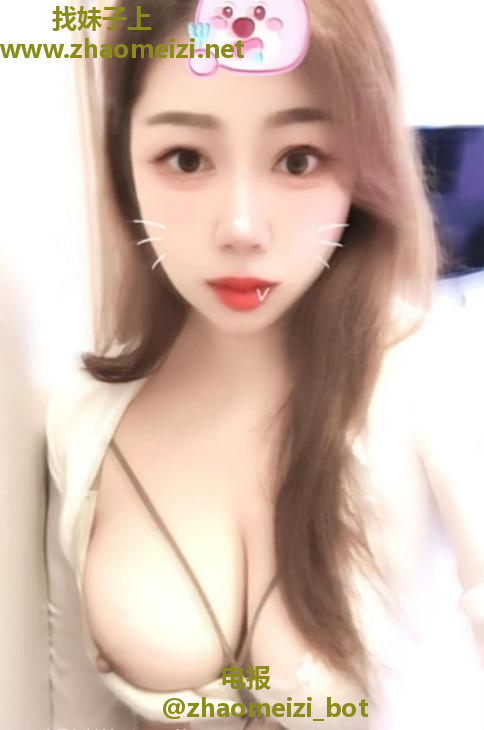 澳门狸狸