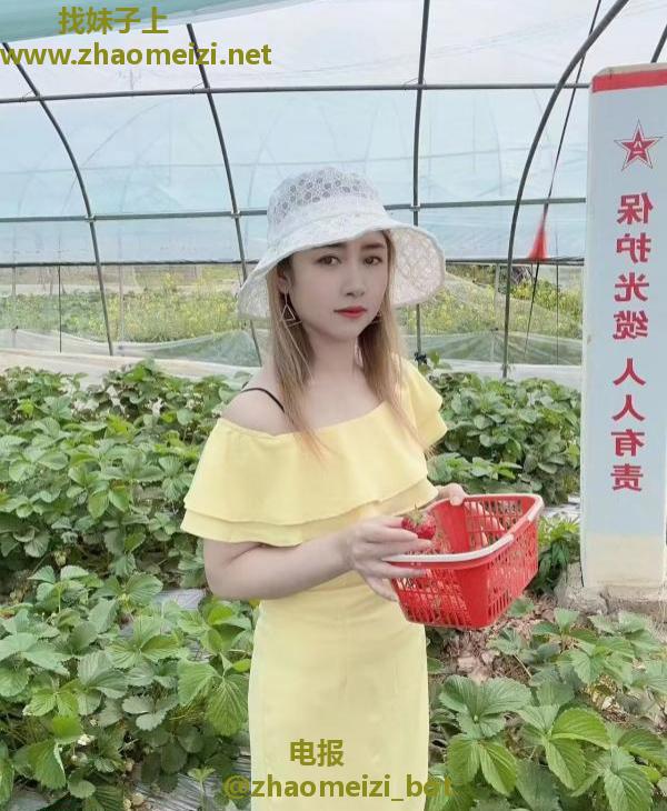 小菲妹子